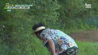 미리보기 이미지