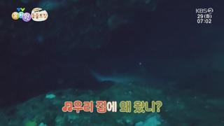 미리보기 이미지