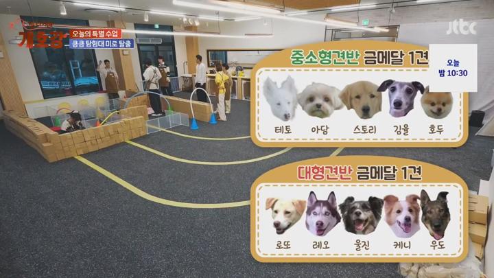 집 나가면 개호강.E03.250608.720p.avi 비디오 썸네일 이미지