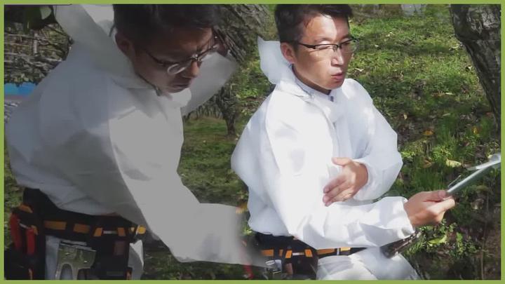 과수 펀치접목법 - 껍질제거, 대목펀칭 비디오 썸네일 이미지