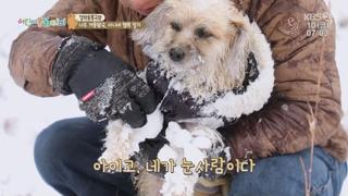 미리보기 이미지
