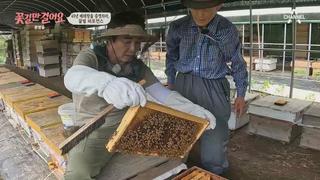 미리보기 이미지