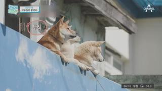 미리보기 이미지