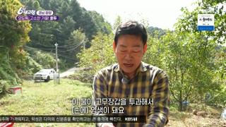 미리보기 이미지