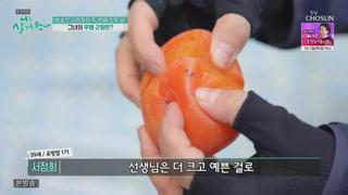 미리보기 이미지