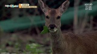 미리보기 이미지