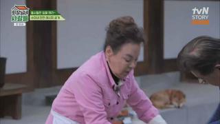 미리보기 이미지