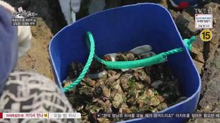 미리보기 이미지