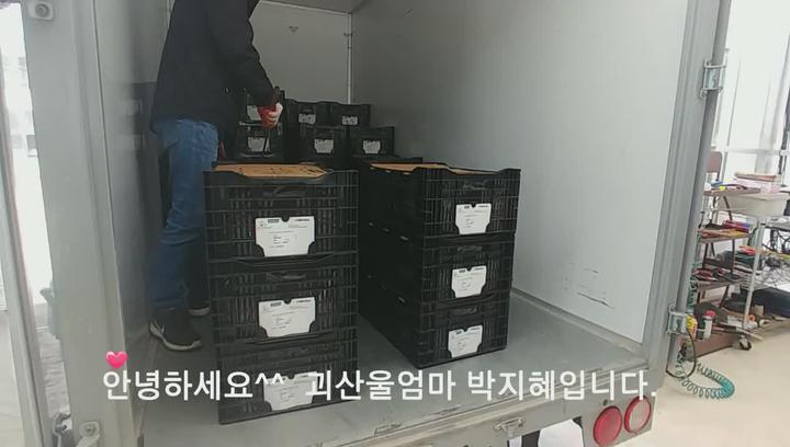 [백합재배] 백합노지재배- 밭만들고 심는방법 비디오 썸네일 이미지