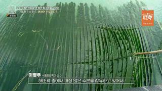 미리보기 이미지