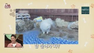 미리보기 이미지