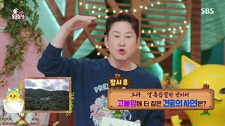 미리보기 이미지