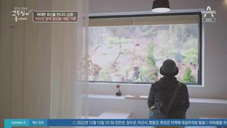 미리보기 이미지