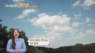 미리보기 이미지