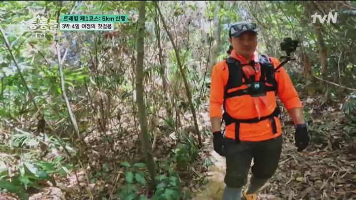 tvN 삼백만 년 전 야생 탐험 손둥 동굴 E03 230831 720p NEXT - 파일쿠키 등록정보