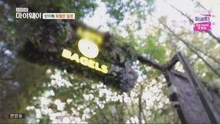 미리보기 이미지