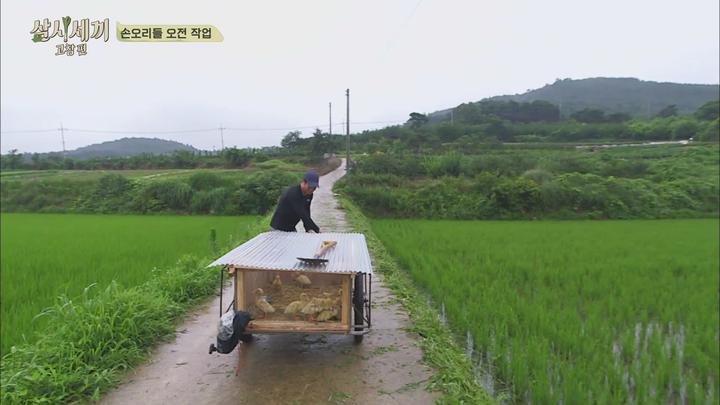 삼시세끼 시즌5 고창편.E05.160729.1080p-FHD 비디오 썸네일 이미지