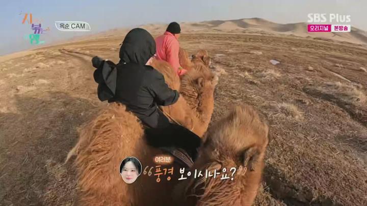 지지고 볶는 여행.E19.250718.1080p.H265-F1RST 비디오 썸네일 이미지