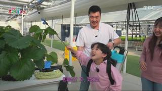미리보기 이미지