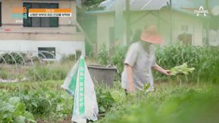 미리보기 이미지