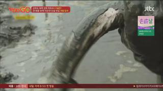 미리보기 이미지