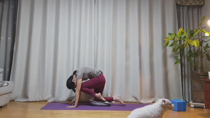 중년.시니어 요가 - 전신 늘리고 탄탄하게 비디오 썸네일 이미지