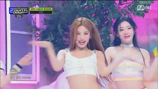 미리보기 이미지