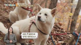 미리보기 이미지
