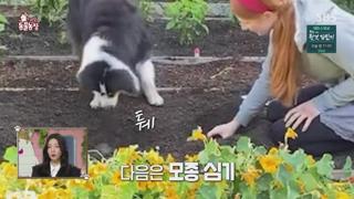 미리보기 이미지