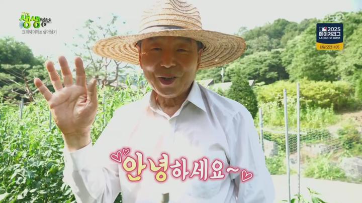 2TV 생생정보.E2333.250711.1080p.H264-F1RST 비디오 썸네일 이미지