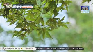미리보기 이미지