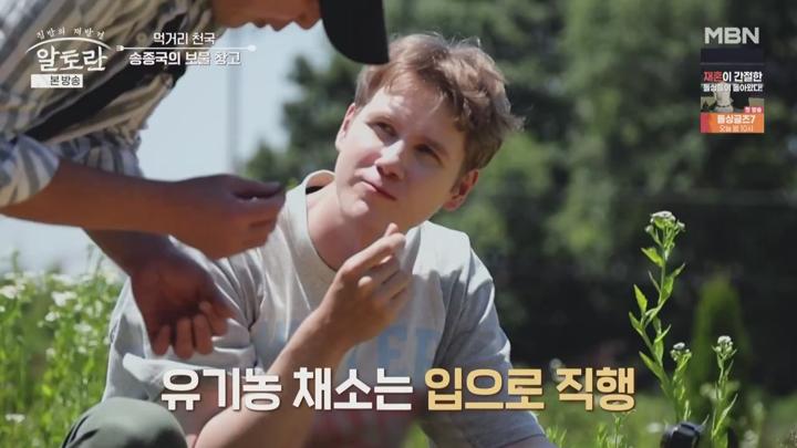 알토란.E550.250720.720p-NEXT 비디오 썸네일 이미지