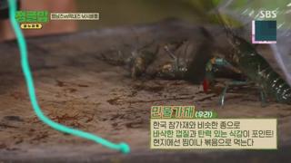 미리보기 이미지