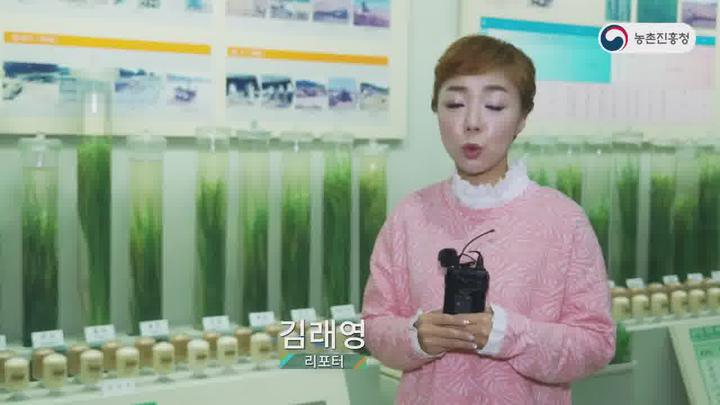 농업기술_벼 완효성비료 육묘상 이용 기술 비디오 썸네일 이미지