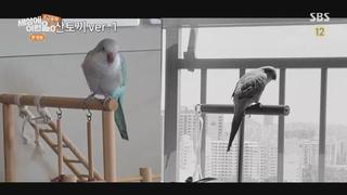 미리보기 이미지