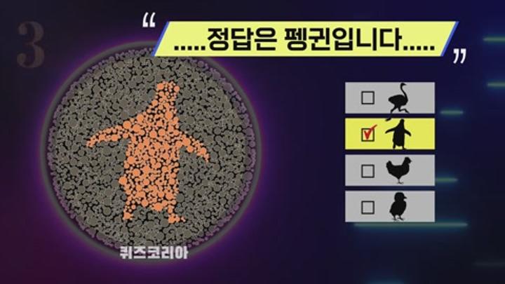 시력테스트, 무슨 동물이 보이나요$ 비디오 썸네일 이미지