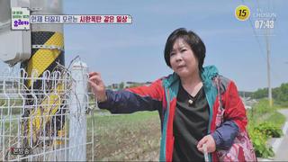 미리보기 이미지