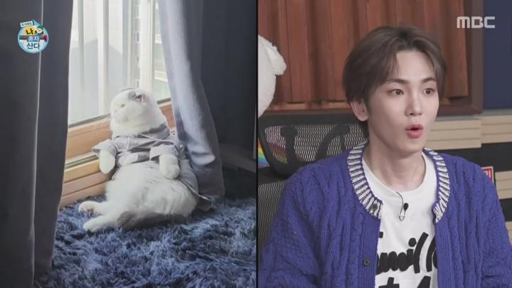 나 혼자 산다.240915.720p.HANNA 비디오 썸네일 이미지