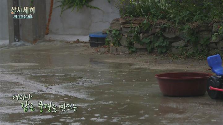 삼시세끼 시즌7 바다목장편 E07.20170915.1080P.H264 비디오 썸네일 이미지