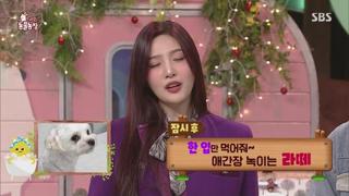미리보기 이미지