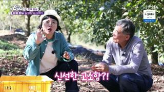 미리보기 이미지