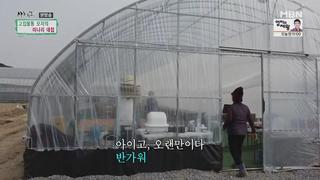 미리보기 이미지