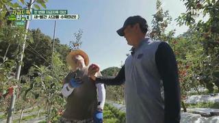 미리보기 이미지