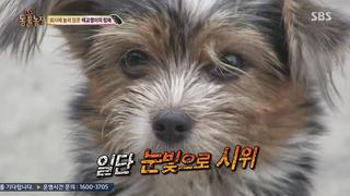 미리보기 이미지