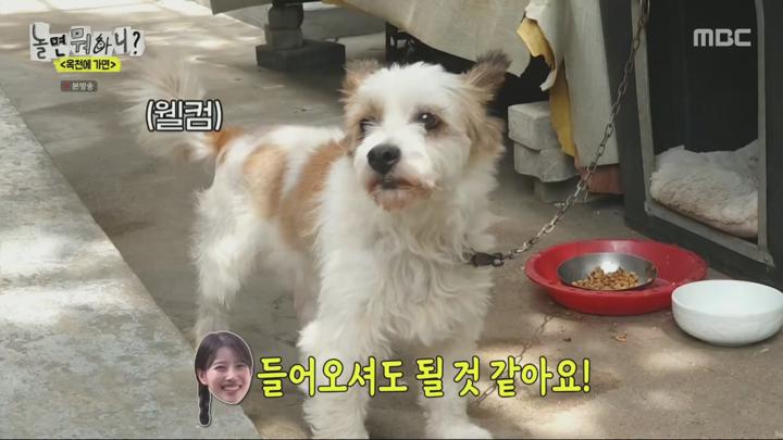 놀면 뭐하니.E241.240706.1080p.H264-F1RST 비디오 썸네일 이미지