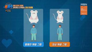 미리보기 이미지