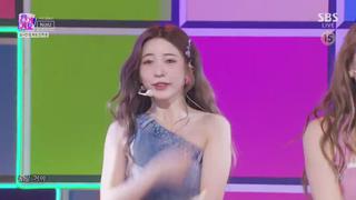 미리보기 이미지