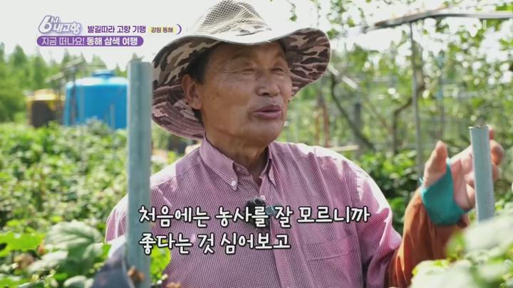 6시 내고향.E8310.250625.720p.H264-F1RST 비디오 썸네일 이미지