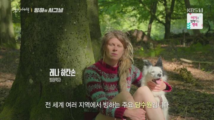다큐 인사이트.빙하의 시그널.E207.241003.720p.H264-F1RST 비디오 썸네일 이미지