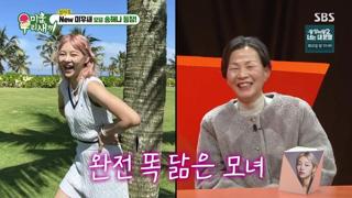 미리보기 이미지